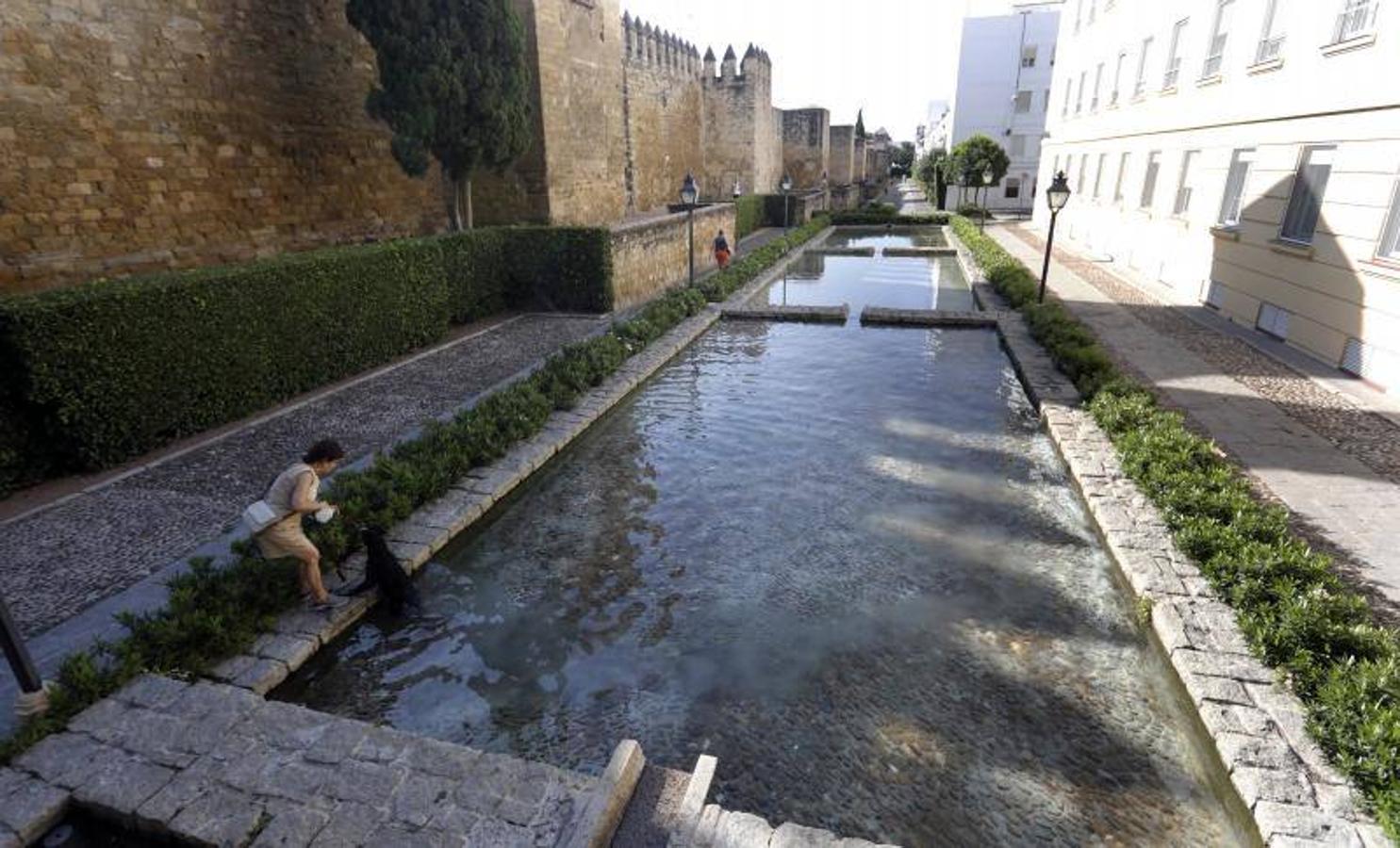 El foso y el entorno de la calle Cairuán de Córdoba, en imágenes