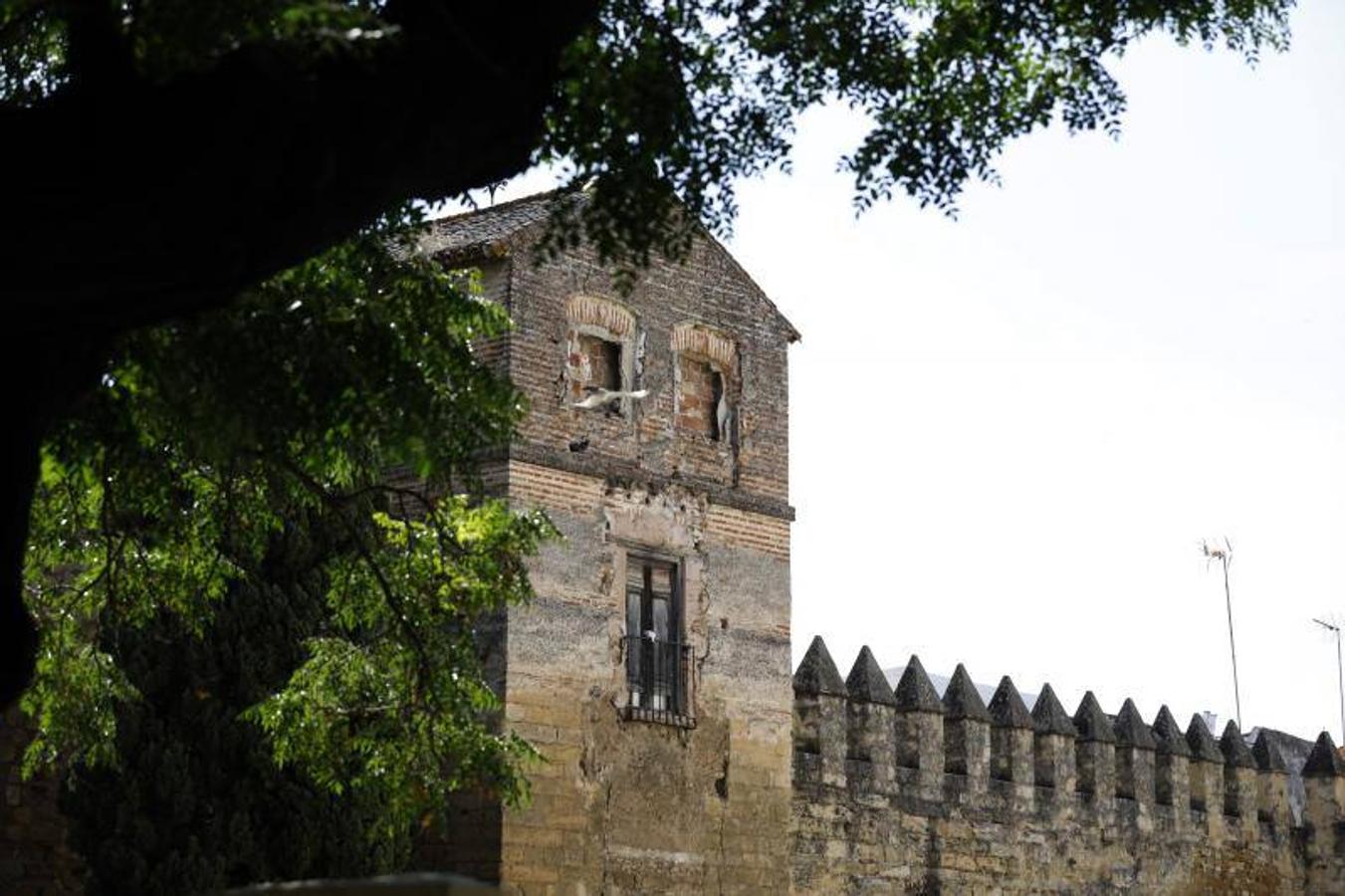 El foso y el entorno de la calle Cairuán de Córdoba, en imágenes