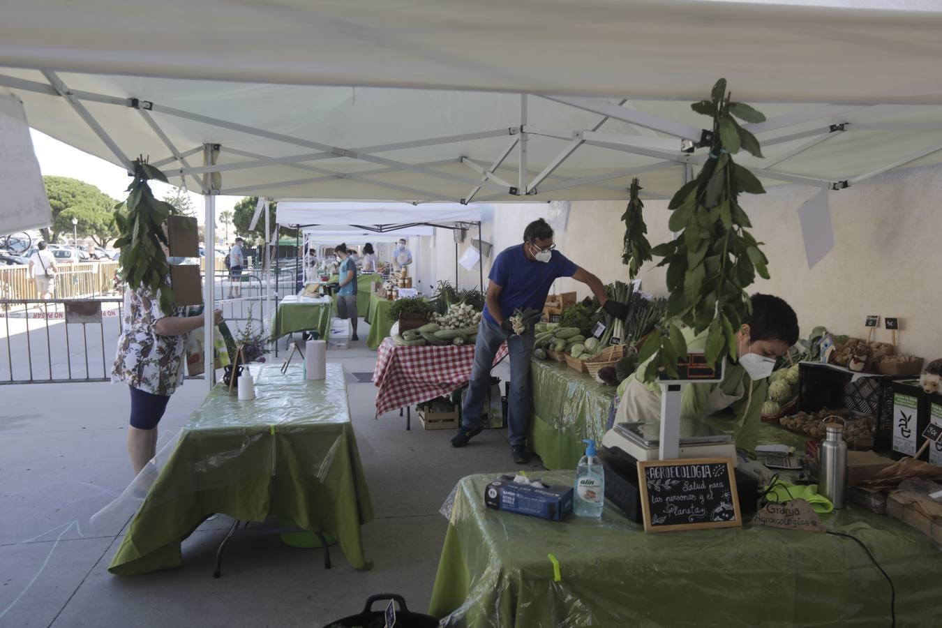 Reabre el mercadillo ecológico de Los Toruños con medidas de seguridad