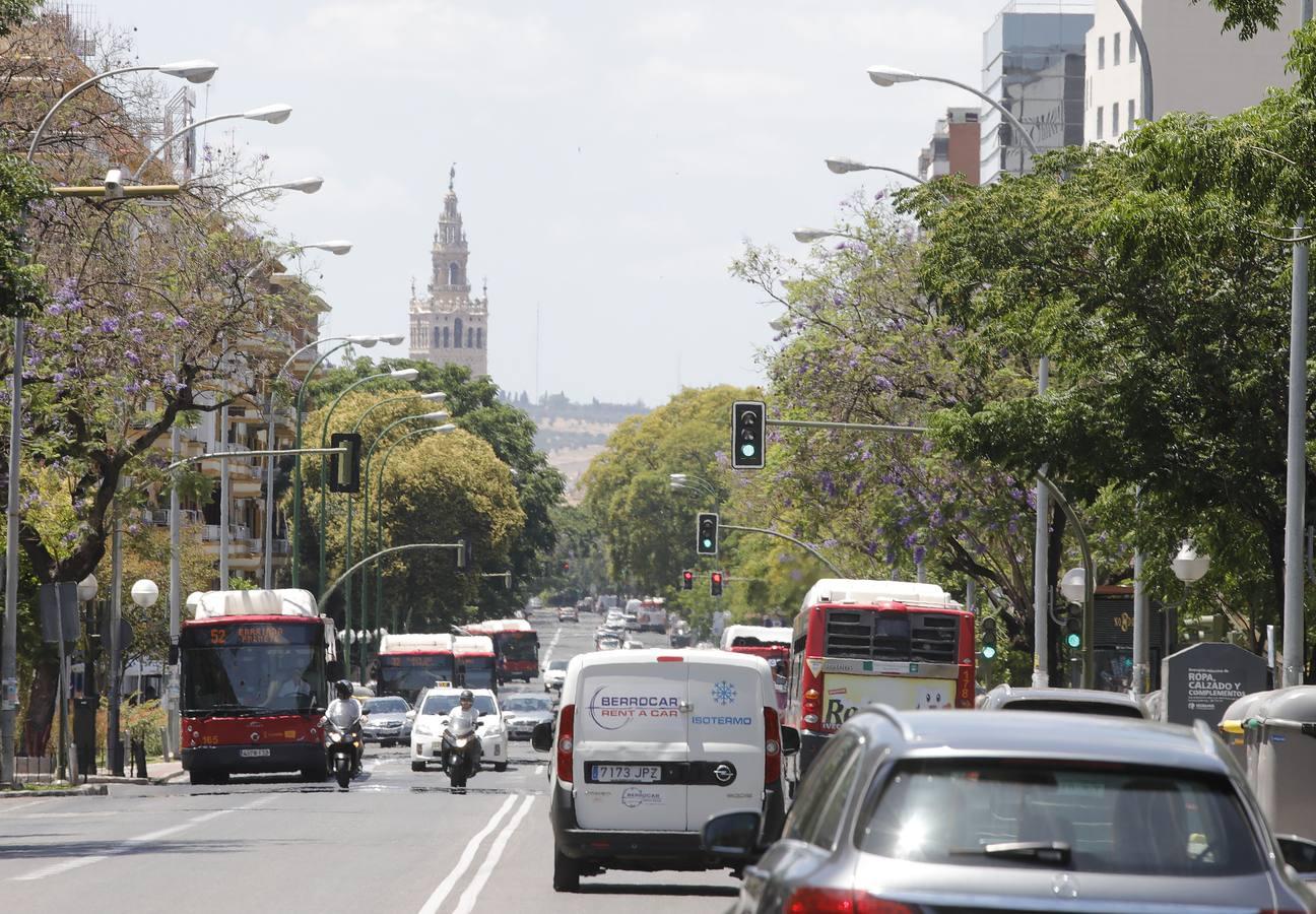 En imágenes: Sevilla, otra vez con atascos con la desescalada