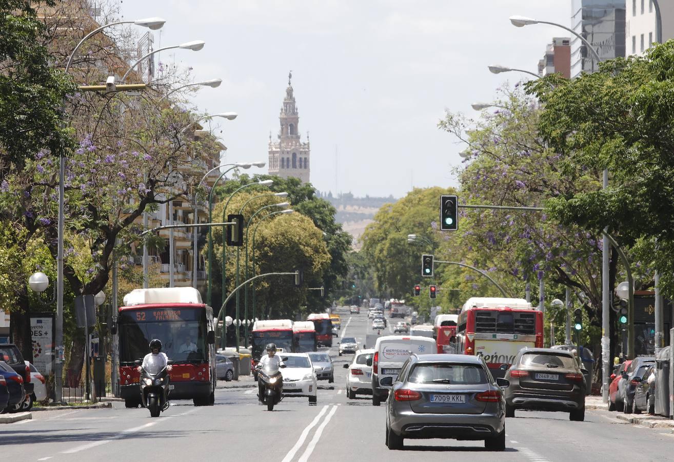 En imágenes: Sevilla, otra vez con atascos con la desescalada