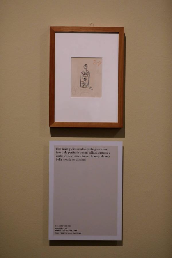 La exposición «Greguerías ilustradas», de ABC en Córdoba, en imágenes