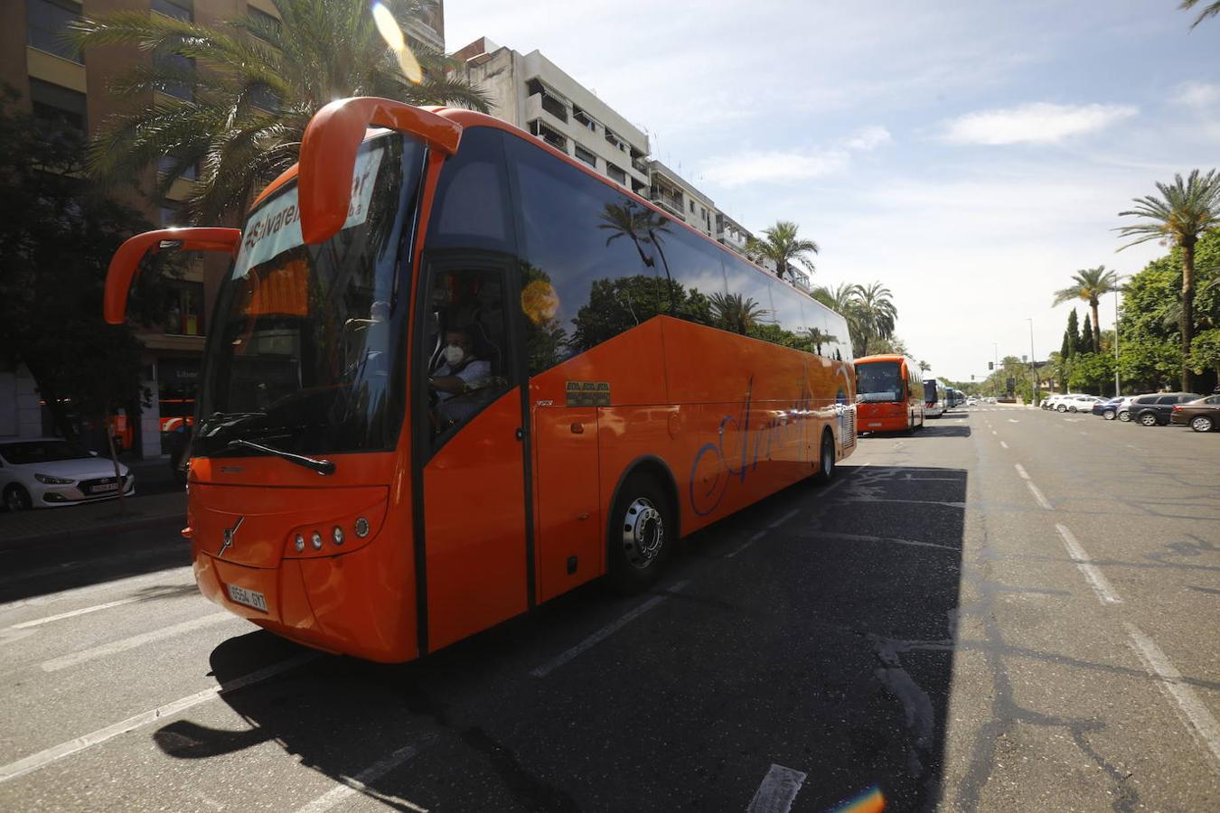 La caravana de autobuses de Córdoba, en imágenes