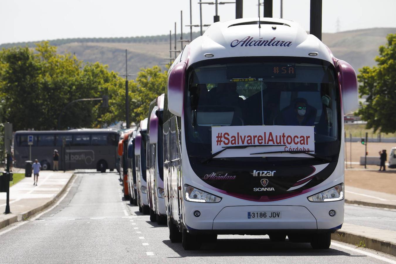 La caravana de autobuses de Córdoba, en imágenes