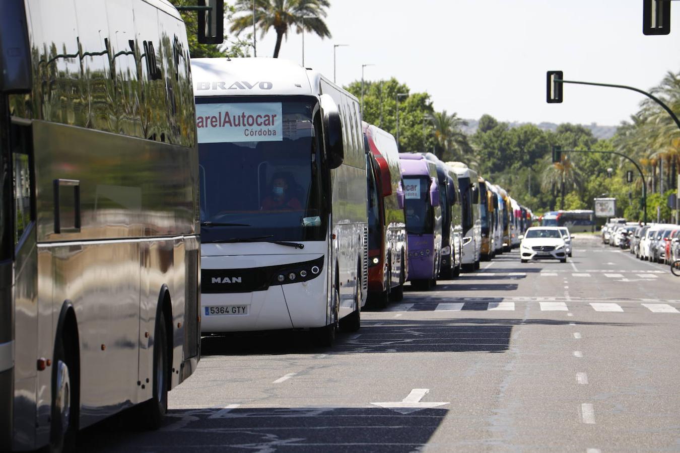 La caravana de autobuses de Córdoba, en imágenes