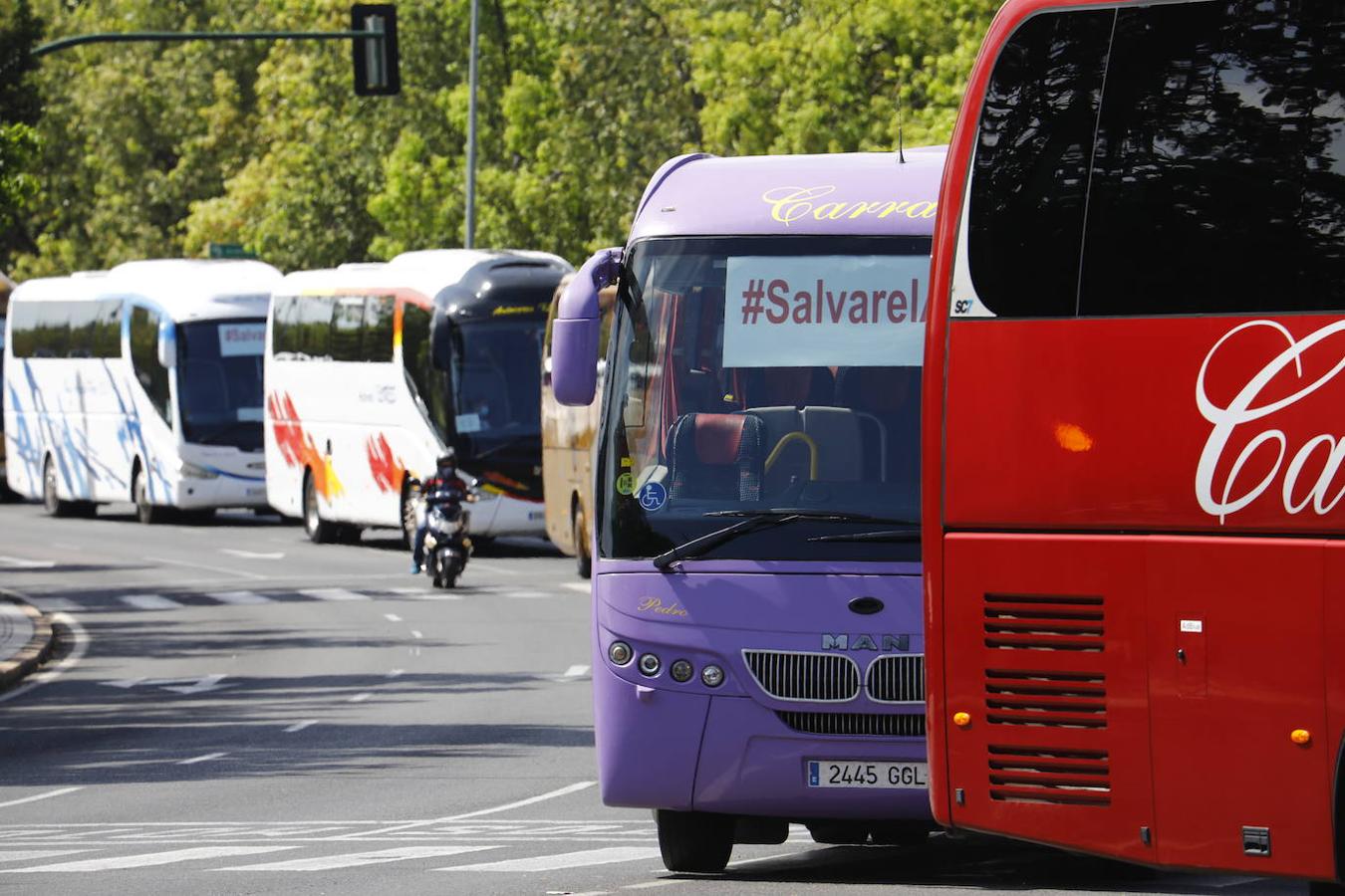 La caravana de autobuses de Córdoba, en imágenes