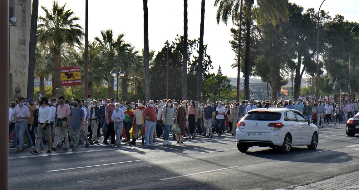 En imágenes, paseo taurino reivindicativo por las calles de Sevilla