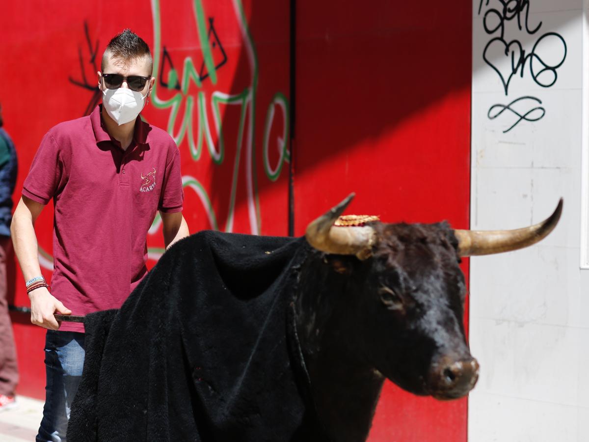 Valladolid también ha salido a la calle. 