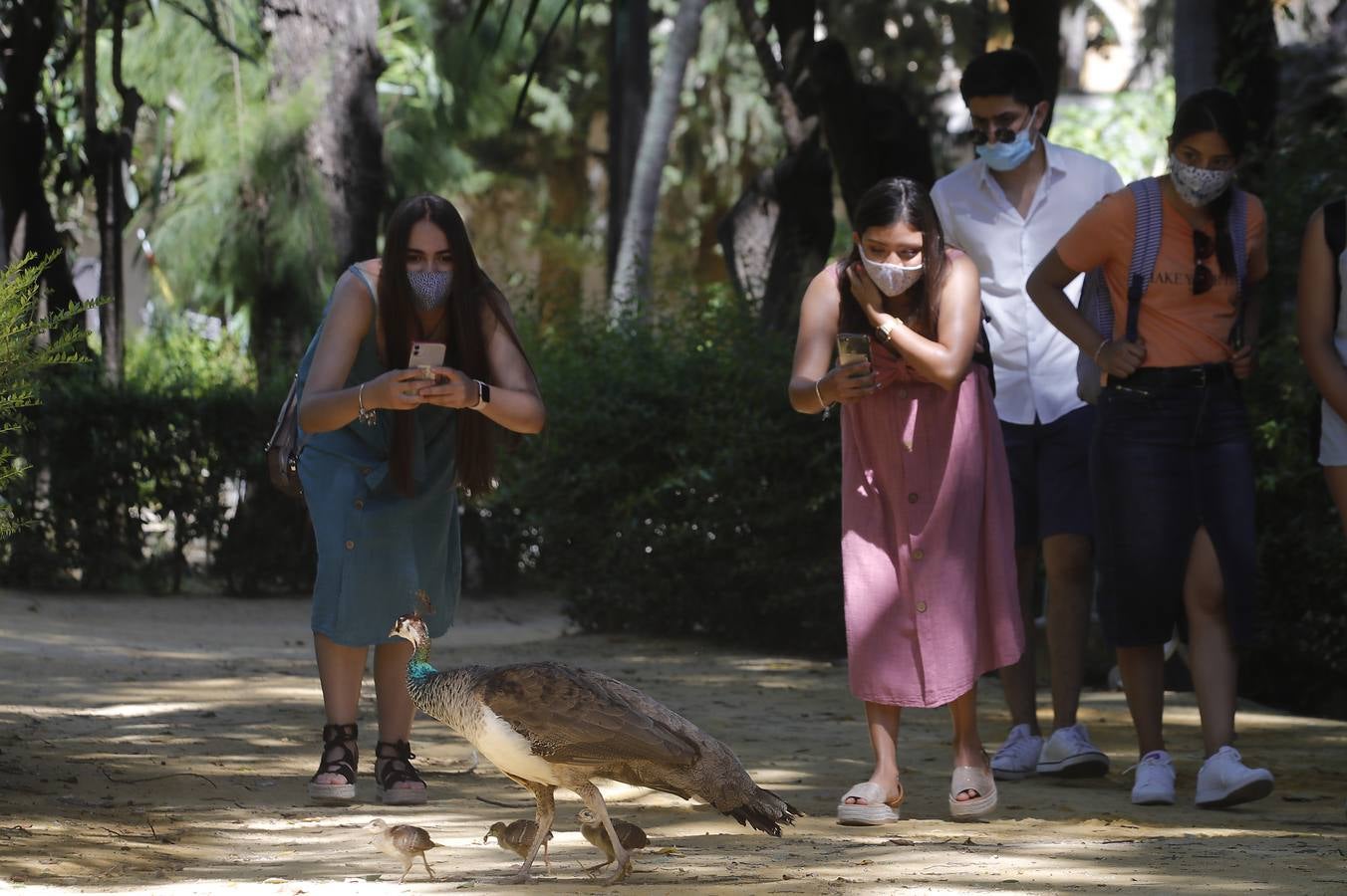 Las primeras visitas al Alcázar de Sevilla