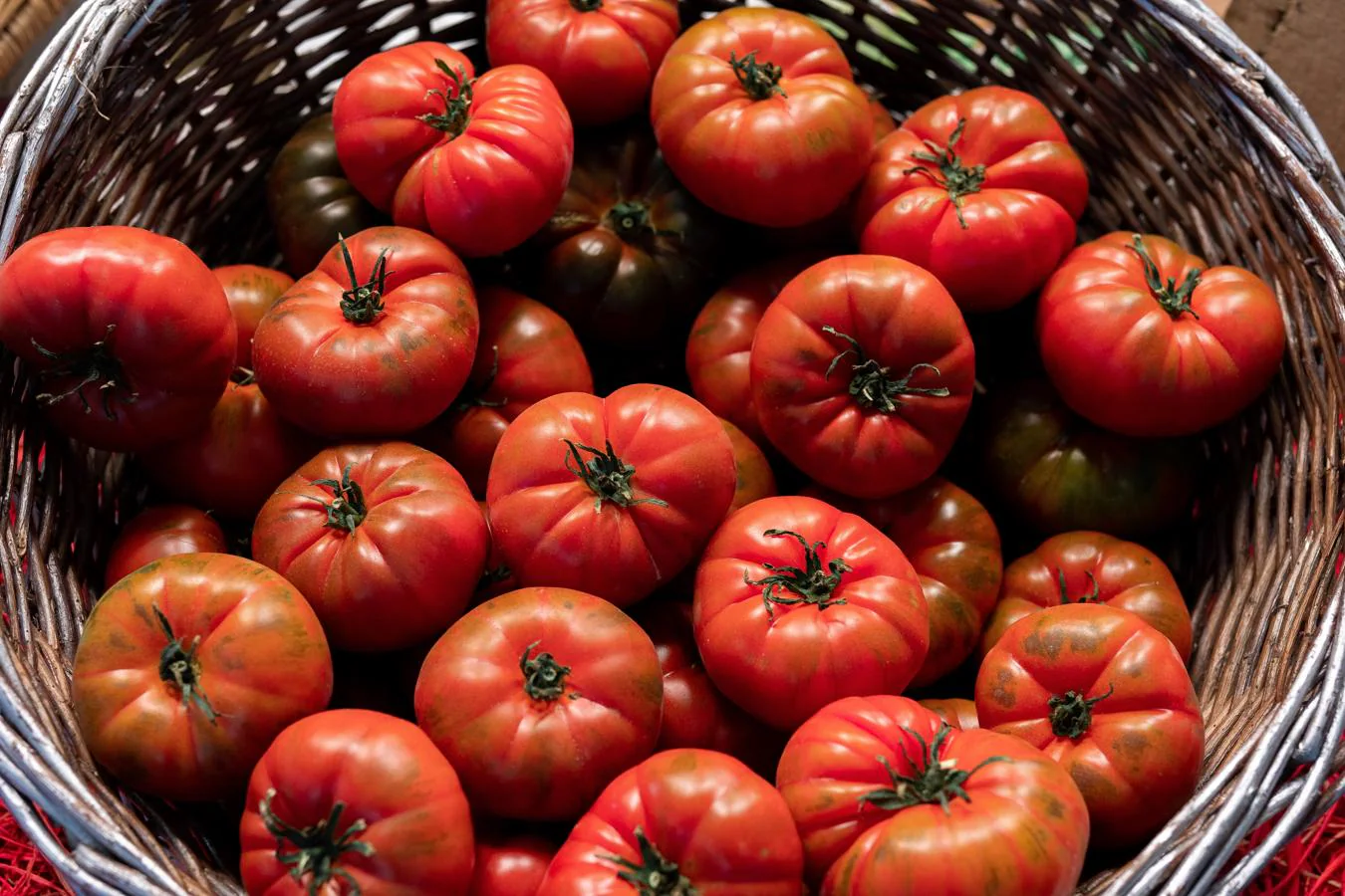 Tomate. Los <a href="https://www.abc.es/bienestar/alimentacion/abci-tomate-202002121421_noticia.html" target="_blank">tomates </a>maduros aportan 90,4 gramos de agua por cada 100 gramos de producto comestible.