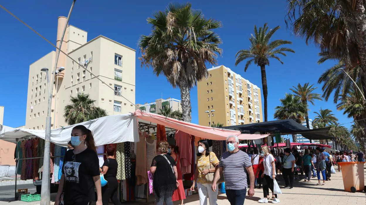 FOTOS: El piojito vuelve a ponerse en Cádiz después de tres meses