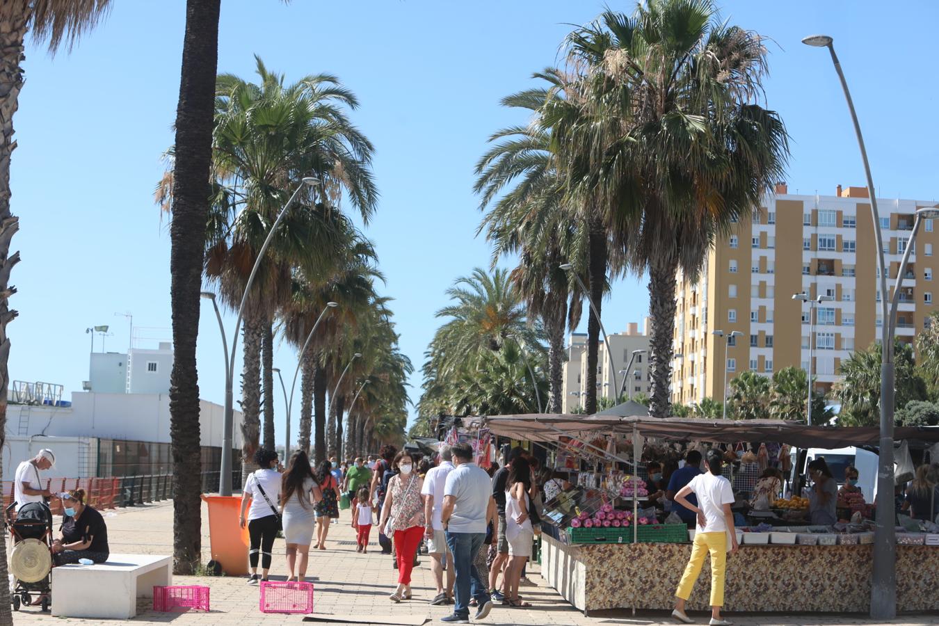 FOTOS: El piojito vuelve a ponerse en Cádiz después de tres meses