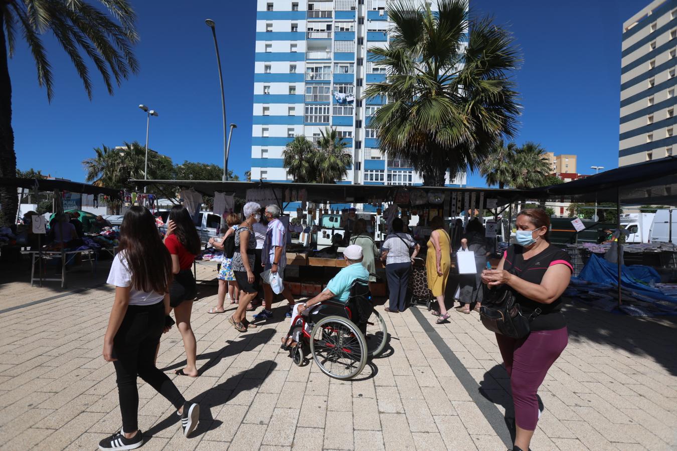 FOTOS: El piojito vuelve a ponerse en Cádiz después de tres meses