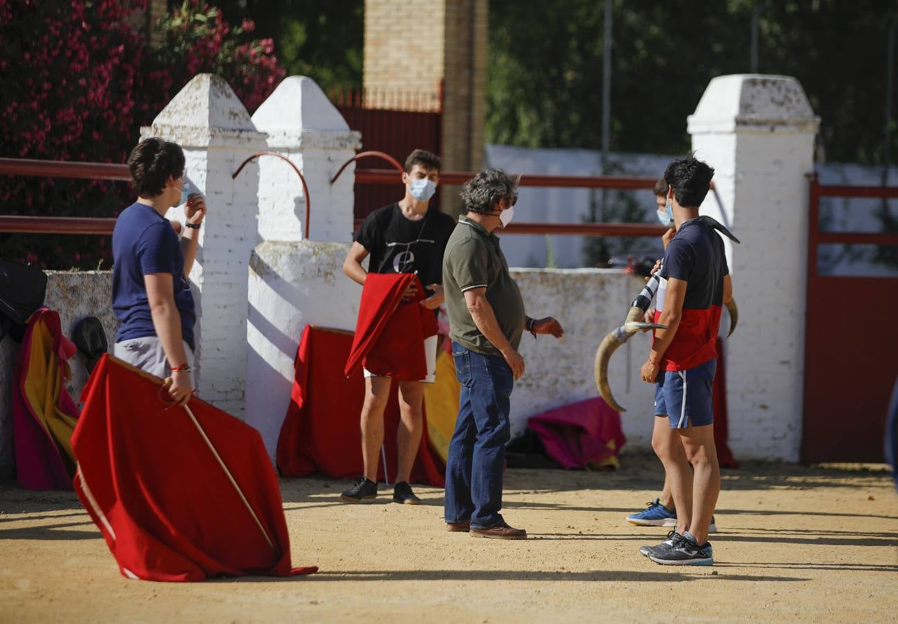 La Escuela Taurina de Sevilla retoma su actividad