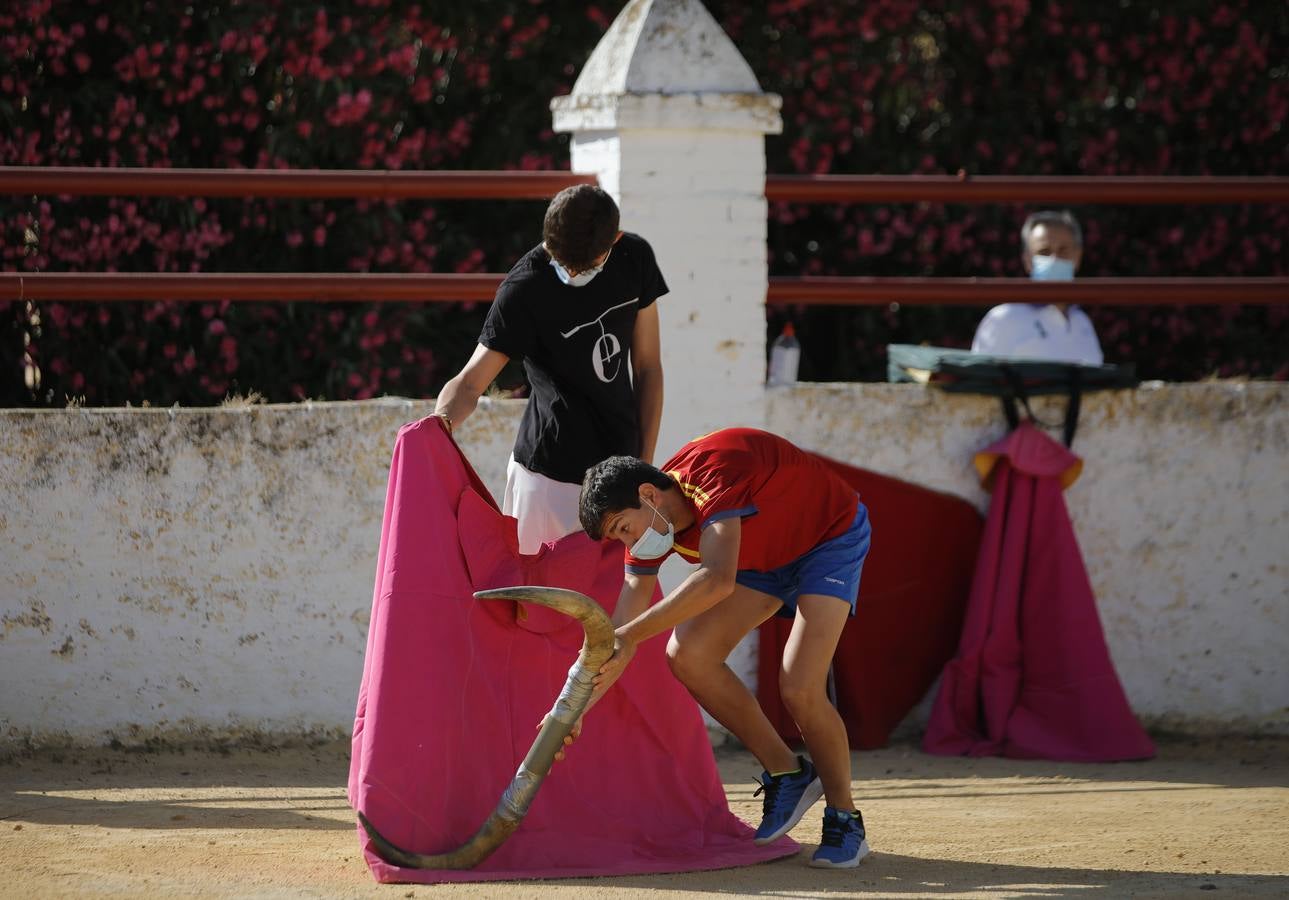 La Escuela Taurina de Sevilla retoma su actividad