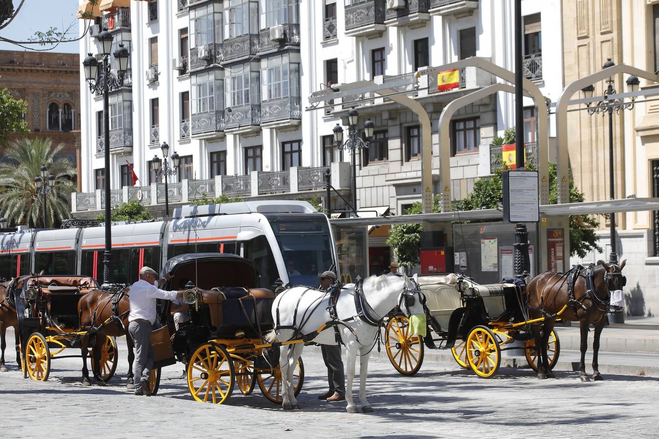 Los coches de caballos vuelven a las calles de Sevilla