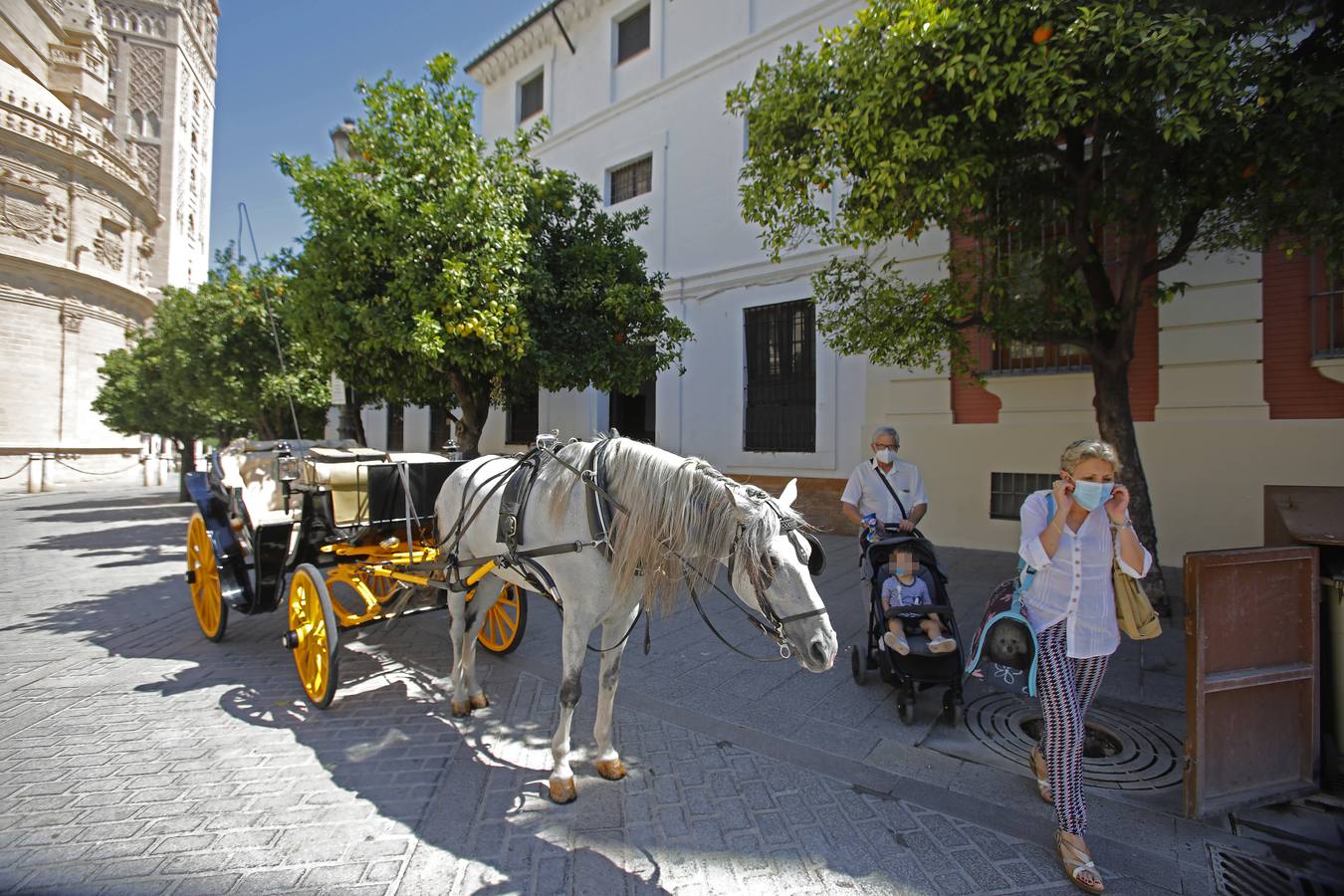 Los coches de caballos vuelven a las calles de Sevilla