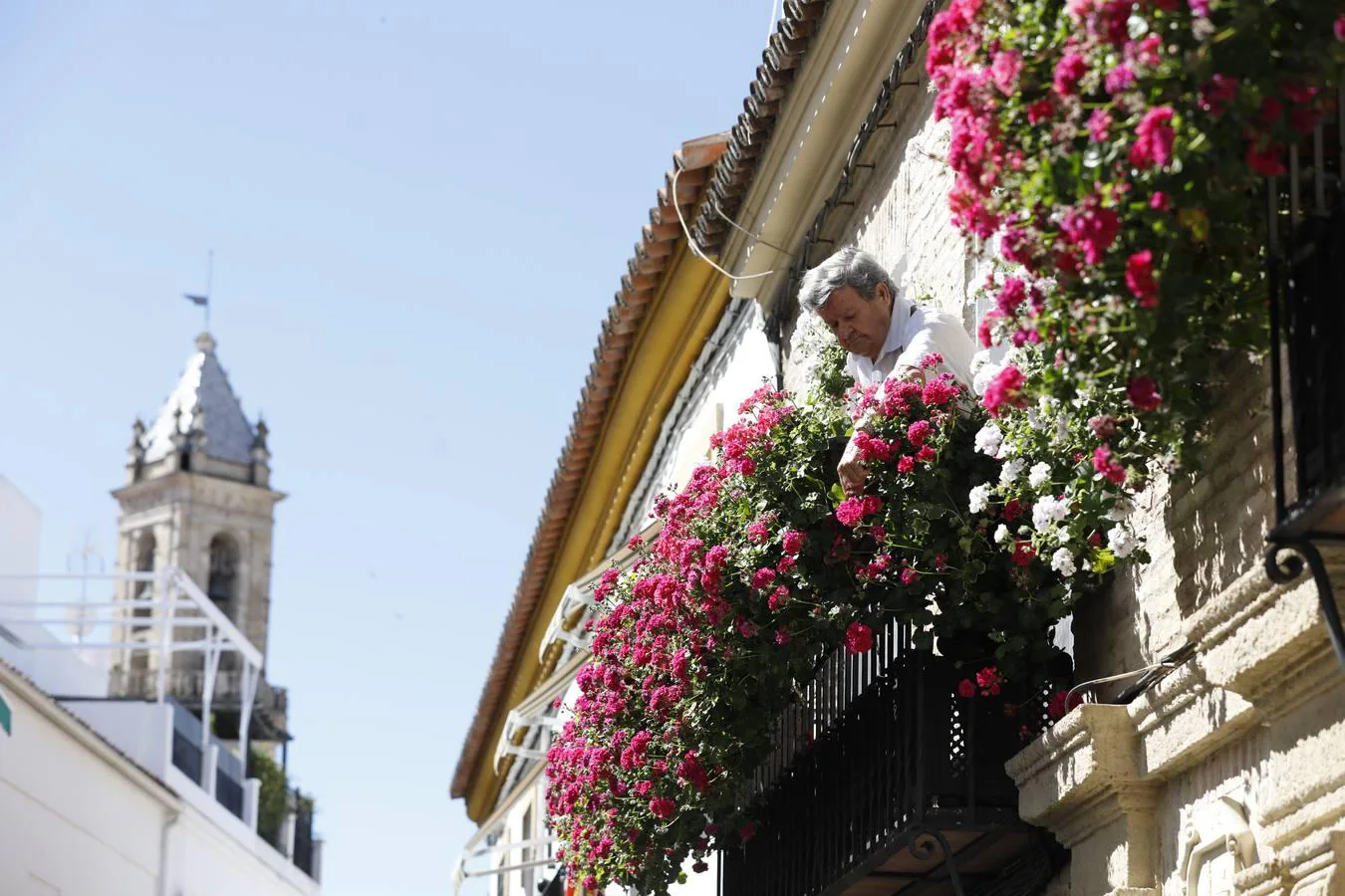 Los ganadores del concurso de Rejas y Balcones de Córdoba, en imágenes