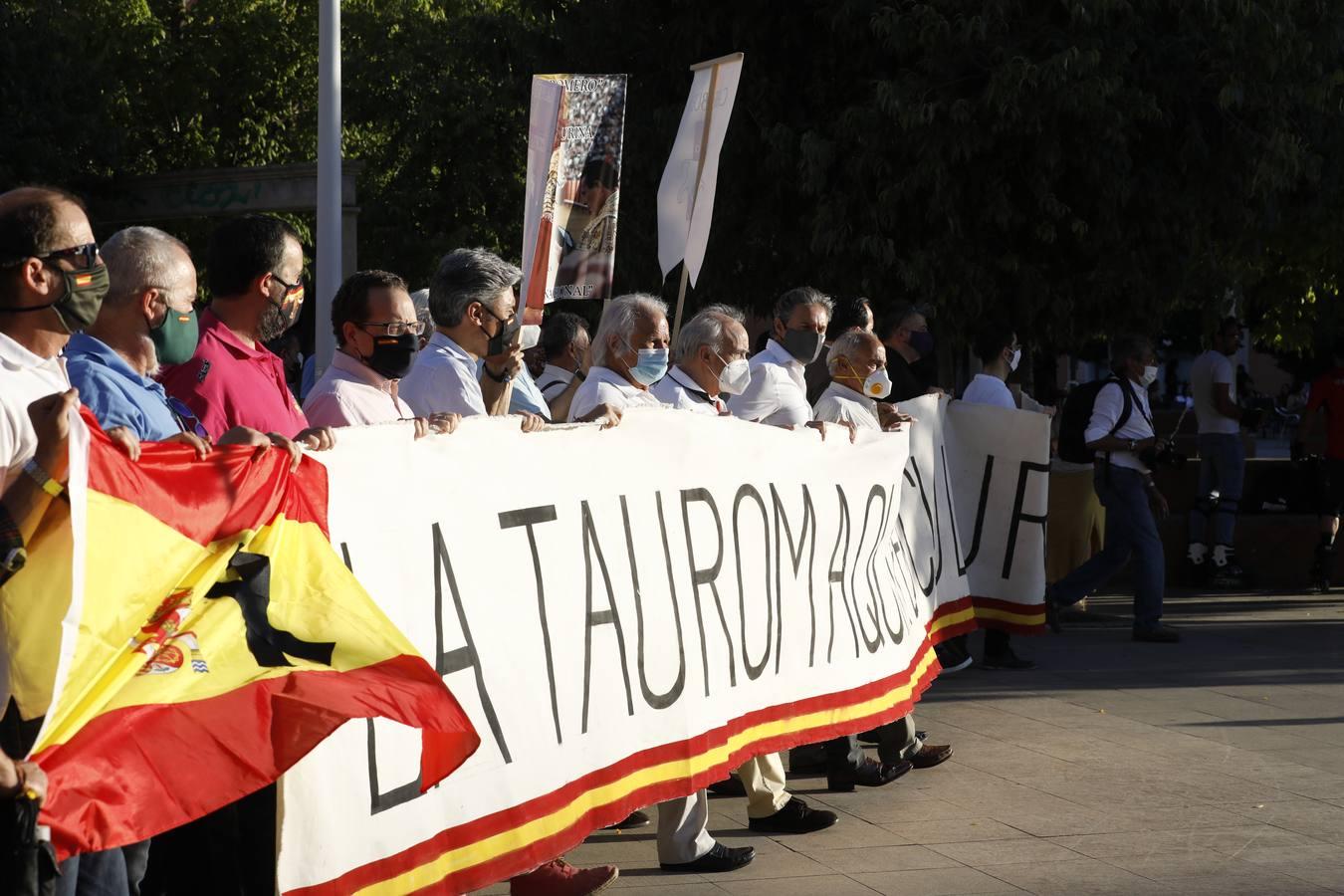 La manifestación «Los toros son cultura» de Córdoba, en imágenes