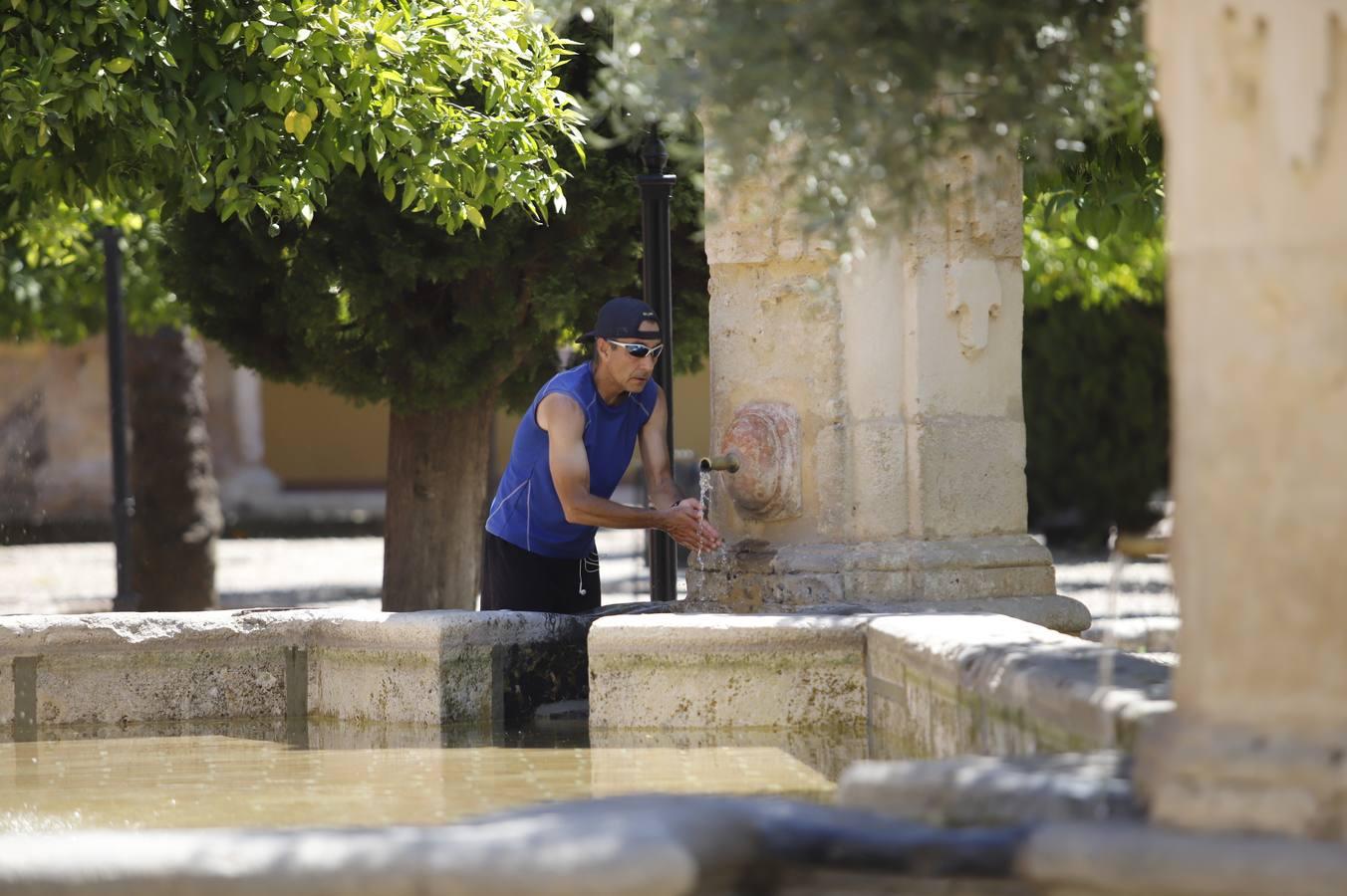 La nueva normalidad tras el estado de alarma en Córdoba, en imágenes (I)