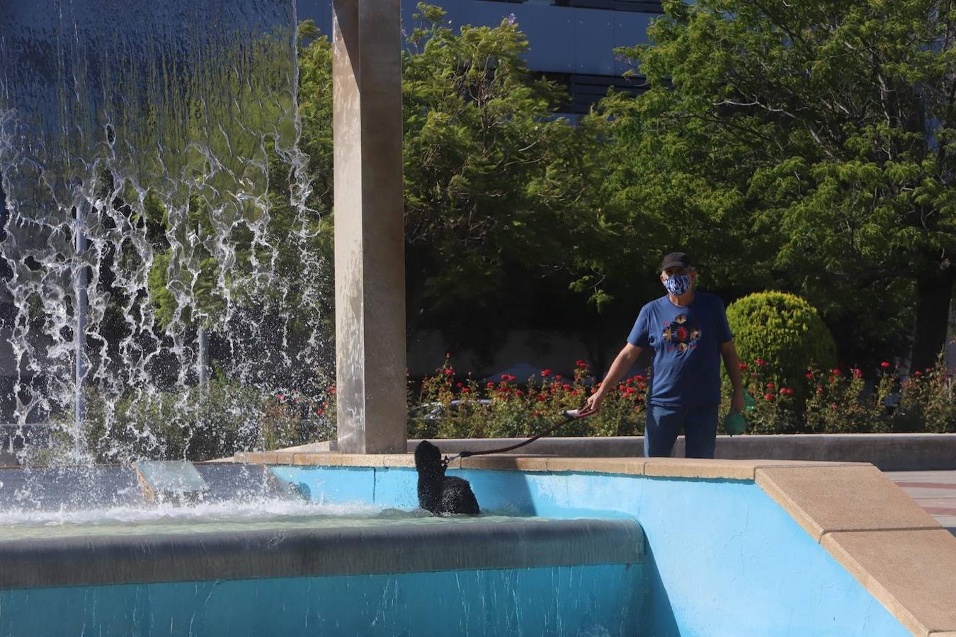 El tiempo en Córdoba: imágenes del primer día a 40 grados