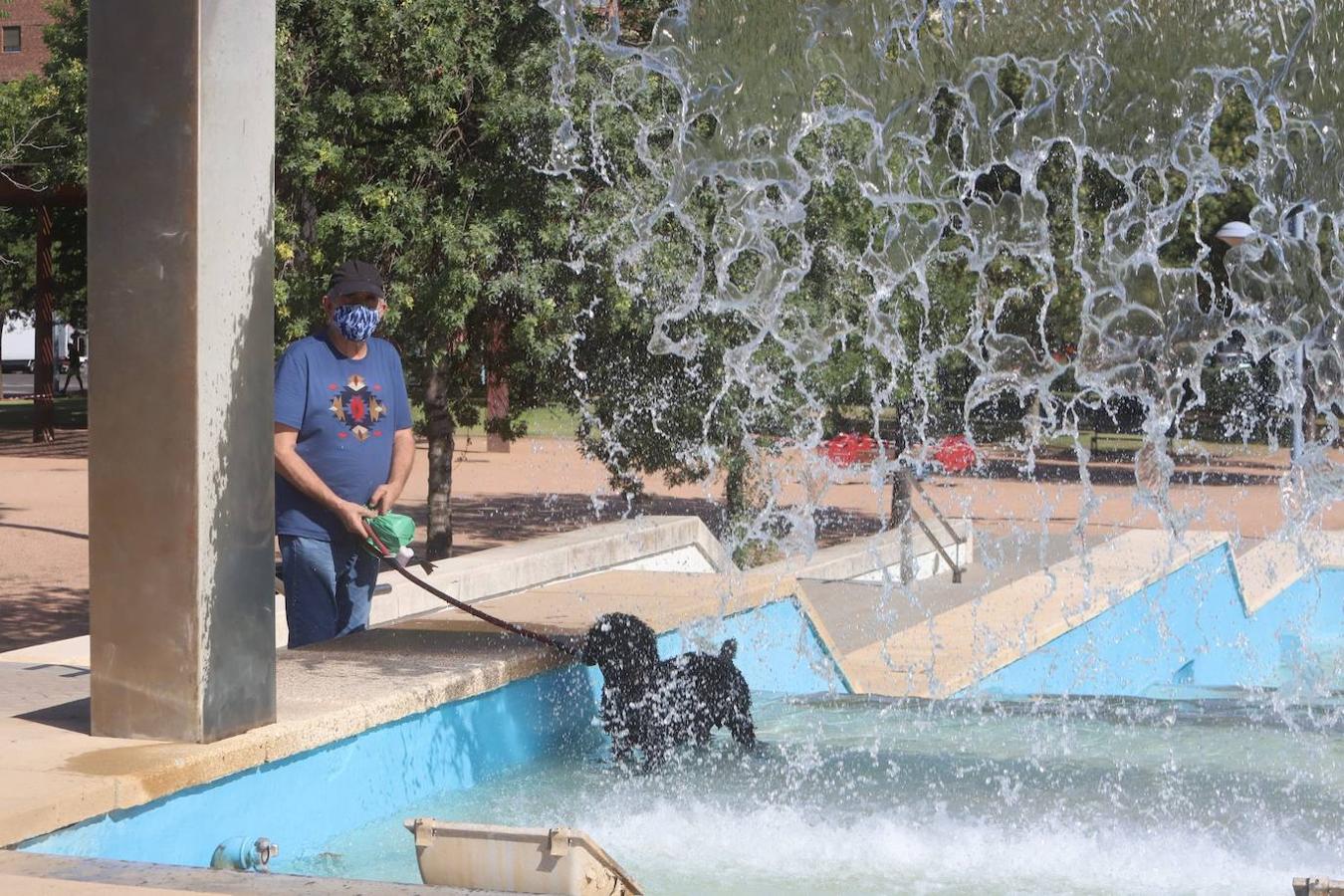 El tiempo en Córdoba: imágenes del primer día a 40 grados