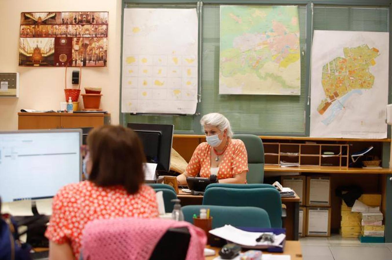 La vuelta de los trabajadores municipales al Ayuntamiento de Córdoba, en imágenes