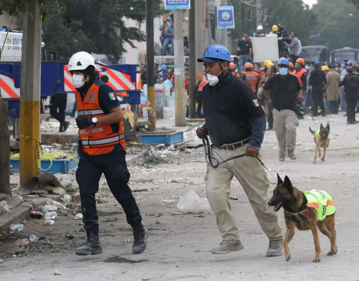 El del 19 de septiembre, de magnitud 7,1 y con epicentro entre Puebla y Morelos (centro), dejó 369 muertos, 228 de ellos en Ciudad de México.. 