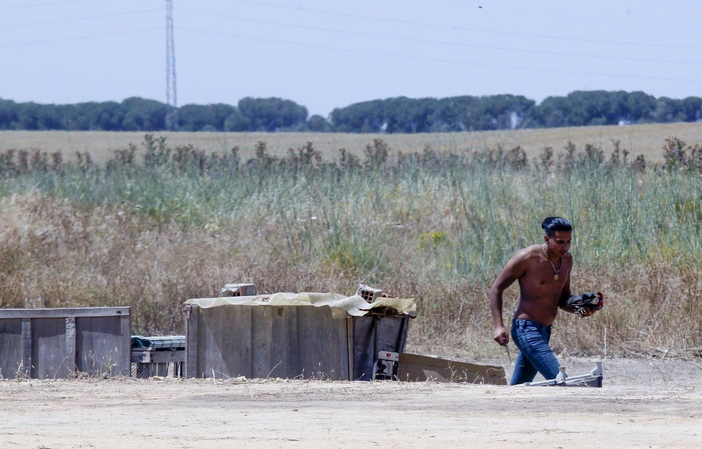 Cerro Blanco, el escenario de uno de los peores crímenes de Sevilla