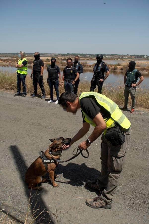 El mayor operativo antidroga de Huelva, en fotos