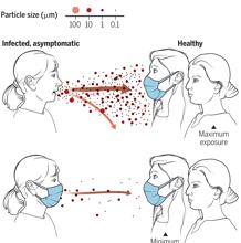 Mascarillas reducen la transmisión del virus