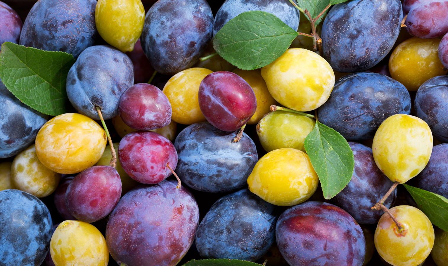 Ciruela. El principal componente de las ciruelas es el agua. Además de hidratos de carbono, entre ellos el sorbitol, de leve acción laxante que se ve reforzado por su abundancia en fibra, la <a href="https://www.abc.es/bienestar/alimentacion/abci-ciruela-202006160757_noticia.html" target="_blank">ciruela </a>se caracteriza por tener antocianos (pigmentos de acción antioxidante y antiséptica). Si se compran verdes, se pueden dejar madurar a temperatura ambiente.