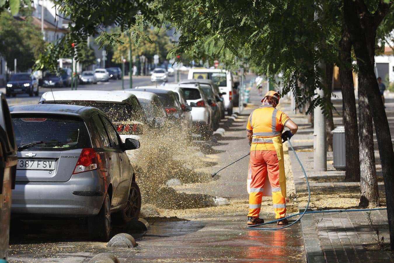 La nueva metodología de trabajo de Sadeco, en imágenes