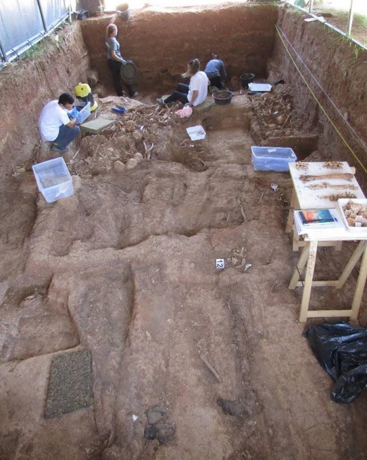 Las excavaciones en la fosa de Pico Reja, en imágenes