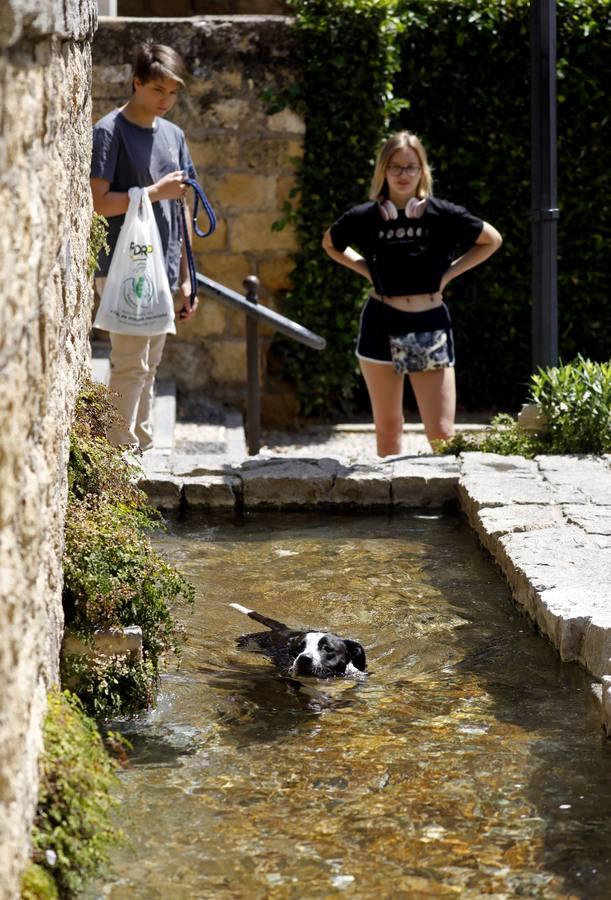 El calor sofocante de Córdoba, en imágenes