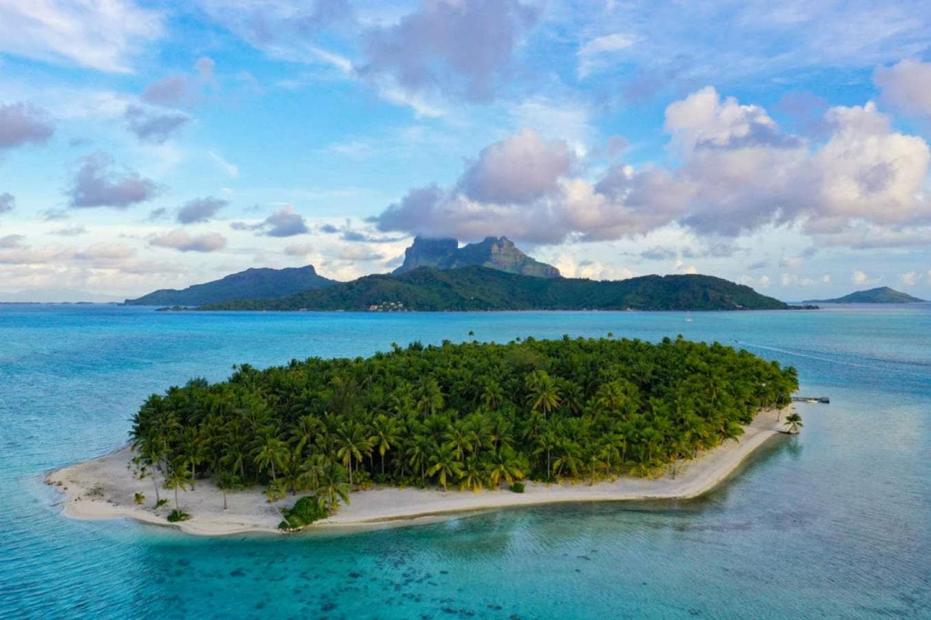 Un prestigioso magnate vende su isla paradisíaca al mejor postor