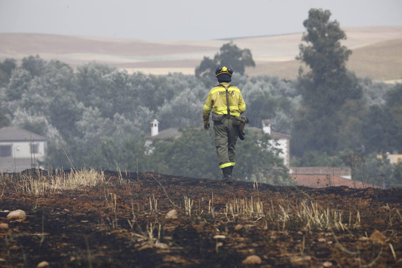 El incendio en Las Quemadillas de Córdoba, en imágenes