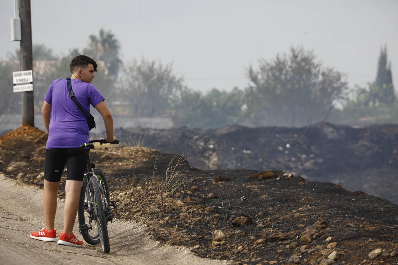 El incendio en Las Quemadillas de Córdoba, en imágenes