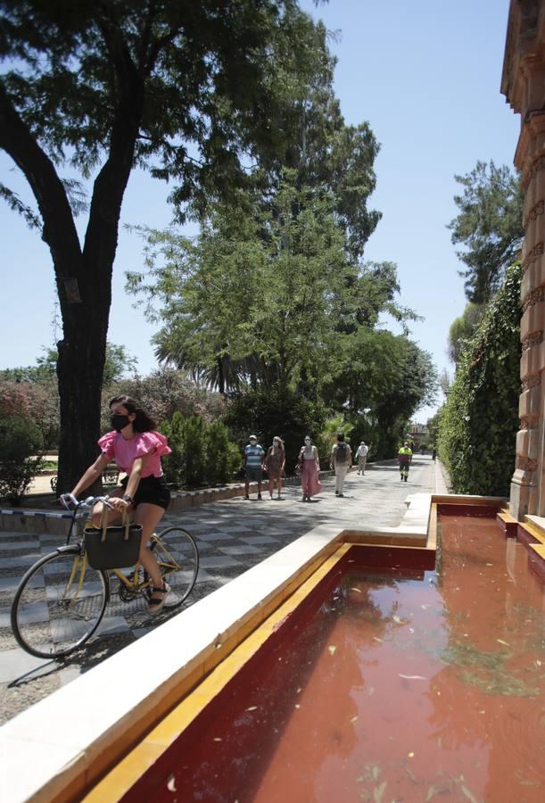 La ola de calor que no se va de Sevilla