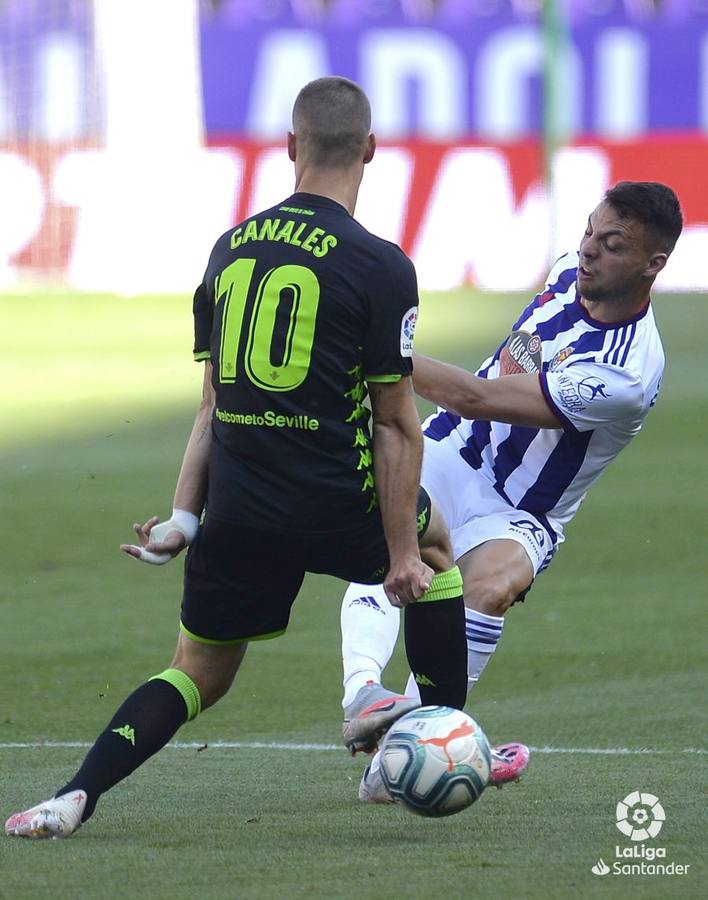 Las mejores imágenes del encuentro entre el Real Valladolid y el Real Betis Balompié