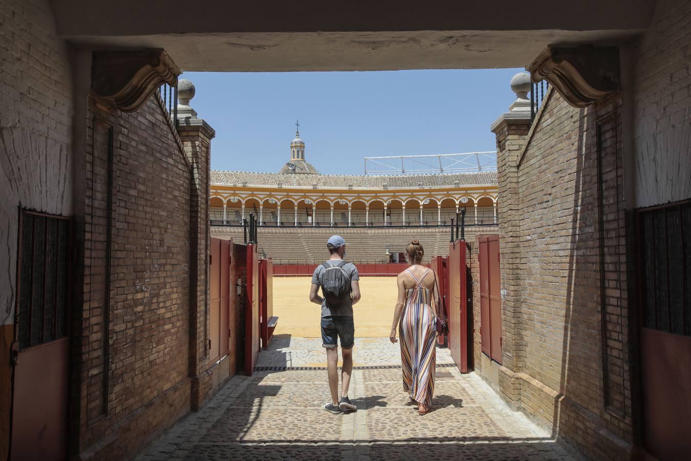 El Museo Taurino de Sevilla reabre sus puertas