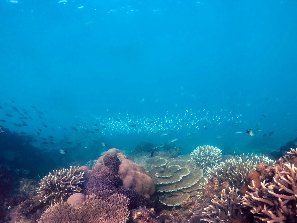 Sus instalaciones siguen abiertas al público. Para los que quieren seguir disfrutando de Pumpkin Island, sus instalaciones siguen abiertas al público hasta su venta.