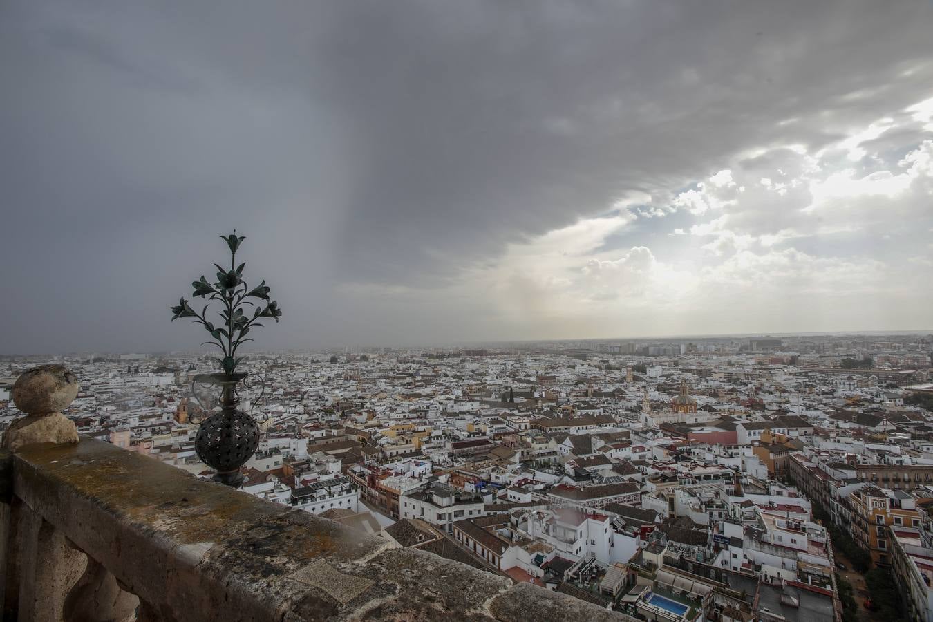 Reapertura de la Catedral de Sevilla a la visita cultural en grupos