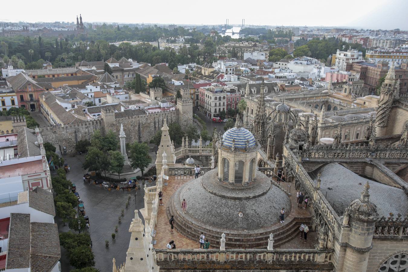 Reapertura de la Catedral de Sevilla a la visita cultural en grupos