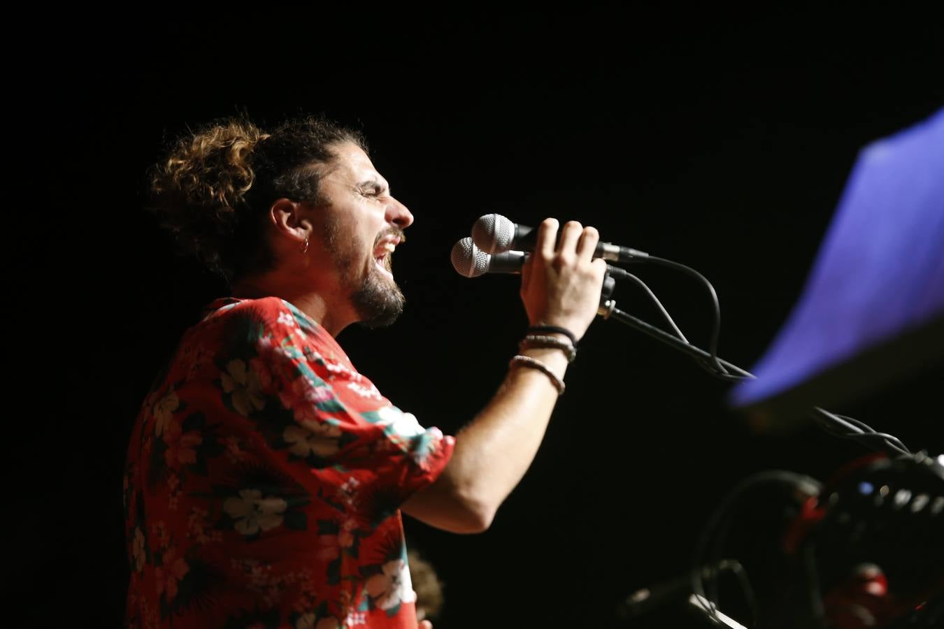 La cálida noche de concierto flamenco en el Alcázar de Córdoba, en imágenes