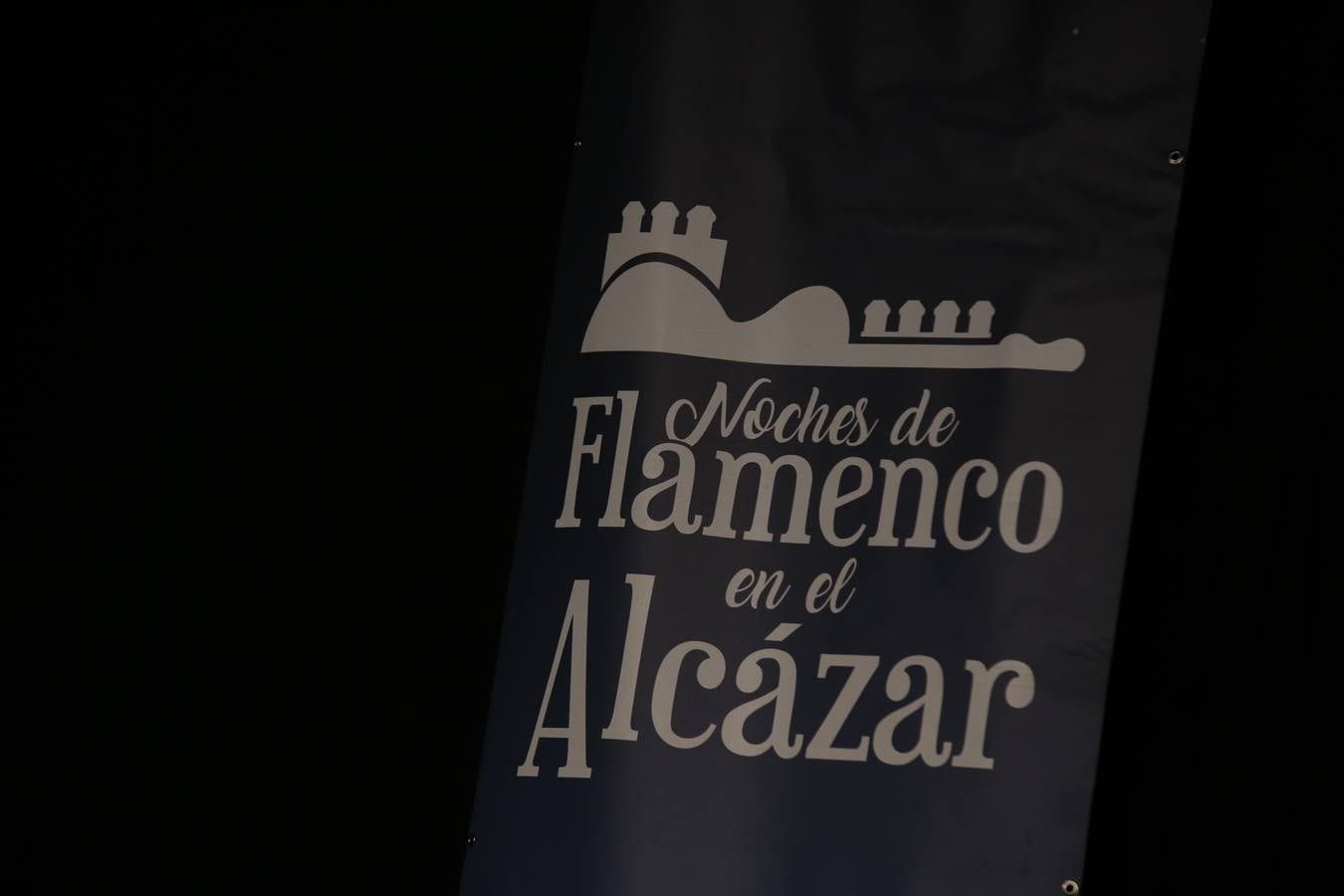 La cálida noche de concierto flamenco en el Alcázar de Córdoba, en imágenes