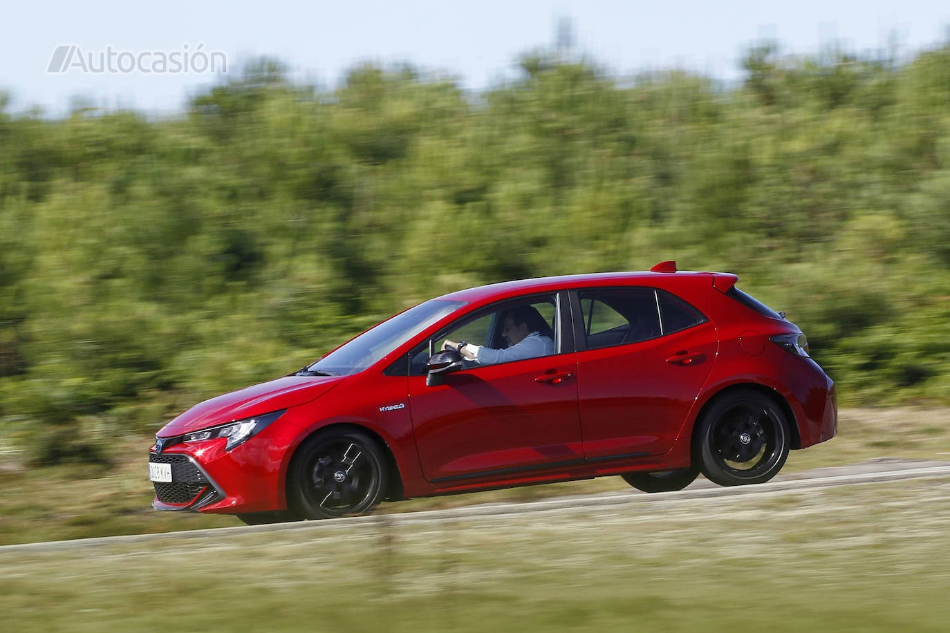 Fotogalería: Toyota Corolla 1.8H