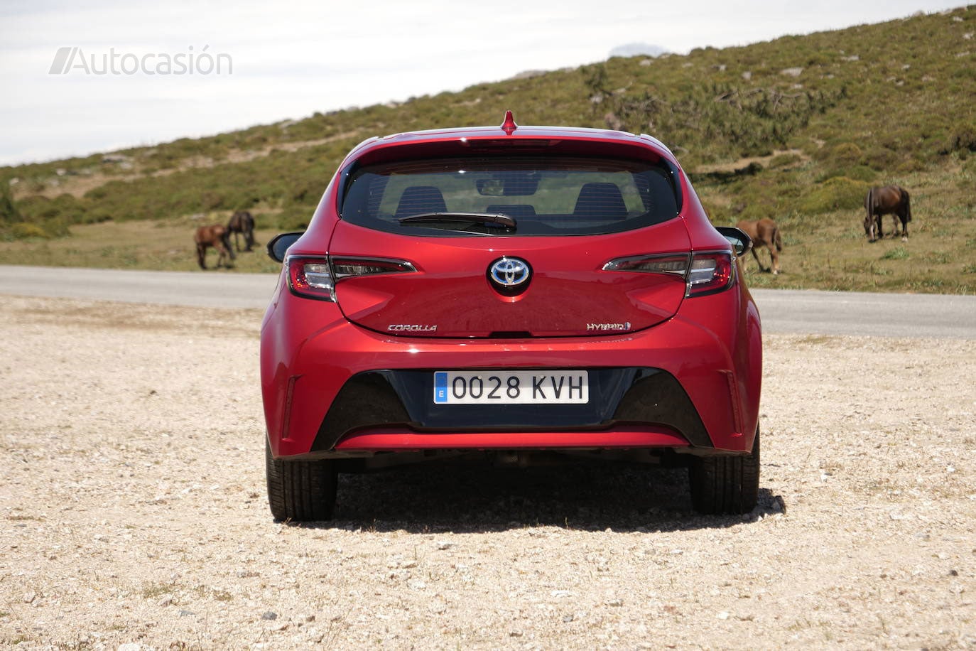 Fotogalería: Toyota Corolla 1.8H