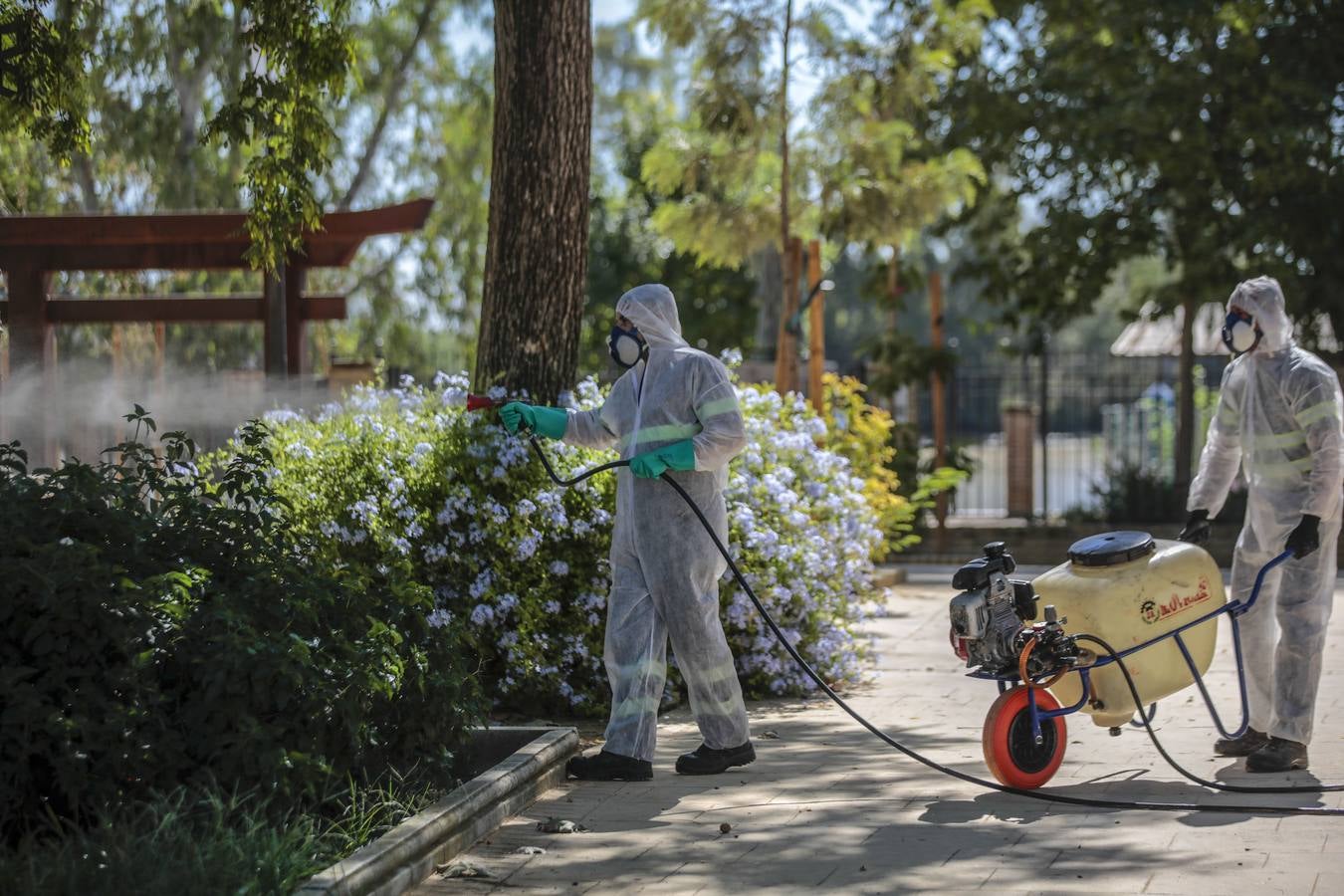 La fumigación contra el mosquito común en los pueblos de Sevilla, en imágenes