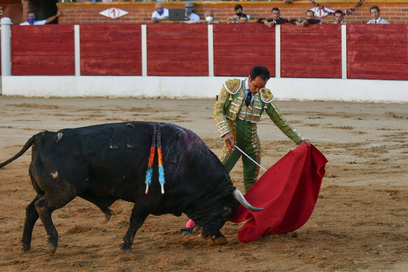 Nueve orejas en Equivias: la corrida, en imágenes